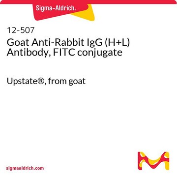 Goat Anti-Rabbit IgG (H+L) Antibody, FITC conjugate Upstate&#174;, from goat