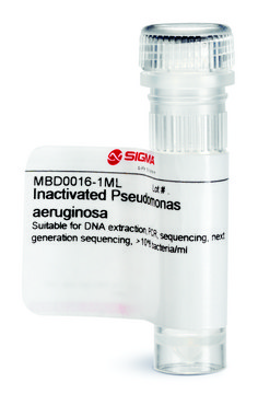 Inactivated Pseudomonas aeruginosa Suitable for DNA extraction, PCR, sequencing, next generation sequencing, &gt;10^8 bacteria/ml