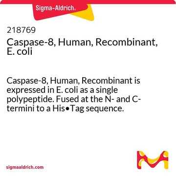 Caspase-8, Human, Recombinant, E. coli Caspase-8, Human, Recombinant is expressed in E. coli as a single polypeptide. Fused at the N- and C- termini to a His&#8226;Tag sequence. Undergoes spontaneous autoprocessing to yield the active enzyme.