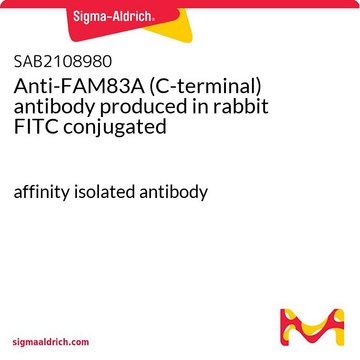 Anti-FAM83A (C-terminal) antibody produced in rabbit FITC conjugated affinity isolated antibody