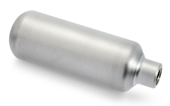 钢瓶 stainless steel, 1/4 in. NPT, capacity 75&#160;mL