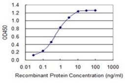 Monoclonal Anti-SLC5A2 antibody produced in mouse clone 3G8, purified immunoglobulin, buffered aqueous solution