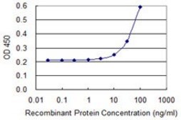 Monoclonal Anti-MNDA, (C-terminal) antibody produced in mouse clone 1H2, purified immunoglobulin, buffered aqueous solution