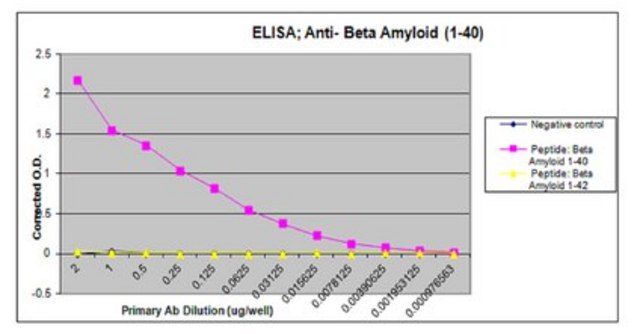 Anti-Amyloid, &#946; 1-40, a&#946; Antibody from rabbit, purified by affinity chromatography