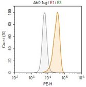 Anti-CD261/DR4 Antibody, clone 1B7 ZooMAb® Rabbit Monoclonal recombinant, expressed in HEK 293 cells