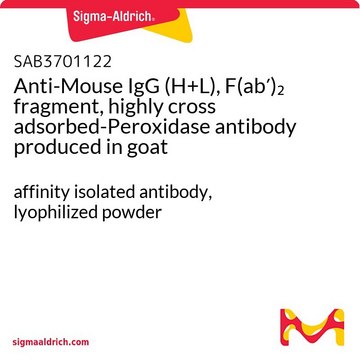 Anti-Mouse IgG (H+L), F(ab&#8242;)2 fragment, highly cross adsorbed-Peroxidase antibody produced in goat affinity isolated antibody, lyophilized powder