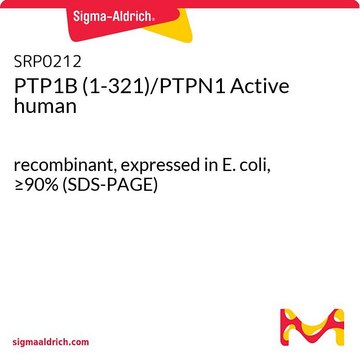 PTP1B (1-321)/PTPN1 Active human recombinant, expressed in E. coli, &#8805;90% (SDS-PAGE)