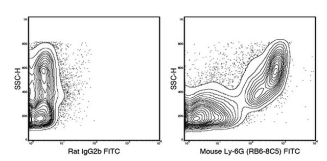 Anti-Ly-6G (mouse), FITC, clone RB6-8C5 Antibody clone RB6-8C5, from rat, FITC conjugate