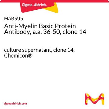 Anti-Myelin Basic Protein Antibody, a.a. 36-50, clone 14 culture supernatant, clone 14, Chemicon&#174;