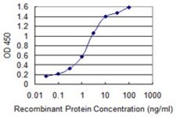 Monoclonal Anti-ACVR1 antibody produced in mouse clone 2D5, purified immunoglobulin, buffered aqueous solution