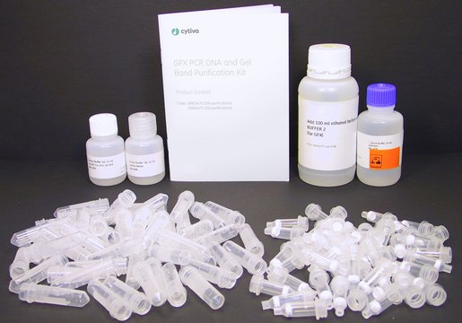 illustra&#8482; GFX PCR DNA and Gel Band Purification Kit, 10 purifications