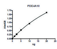 PDE4A10 active human recombinant, expressed in baculovirus infected Sf9 cells, ≥75% (SDS-PAGE)