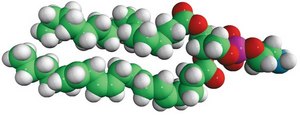 16:0-20:4 PE 1-palmitoyl-2-arachidonoyl-sn-glycero-3-phosphoethanolamine, chloroform