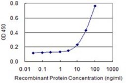 Monoclonal Anti-MUC5AC antibody produced in mouse clone 2A4, purified immunoglobulin, buffered aqueous solution