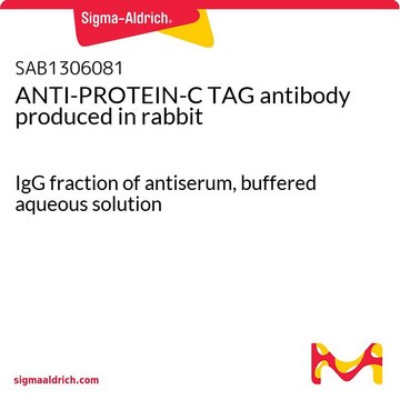 ANTI-PROTEIN-C TAG antibody produced in rabbit IgG fraction of antiserum, buffered aqueous solution