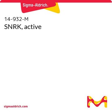 SNRK, active