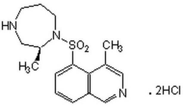 Rho激酶抑制剂 The Rho kinase inhibitor, CAS 872543-07-6, is a cell-permeable, highly specific, reversible, potent, and ATP-competitive inhibitor of Rho-associated kinase (ROCK; Ki = 1.6 nM).