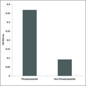 Anti-phospho-IRS-1 (pSer612) antibody produced in rabbit affinity isolated antibody
