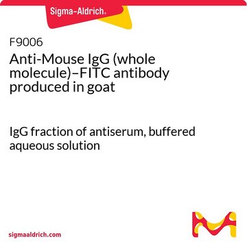 Anti-Mouse IgG (whole molecule)–FITC antibody produced in goat IgG fraction of antiserum, buffered aqueous solution