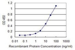 Monoclonal Anti-ATP8B4 antibody produced in mouse clone 4D5, purified immunoglobulin, buffered aqueous solution