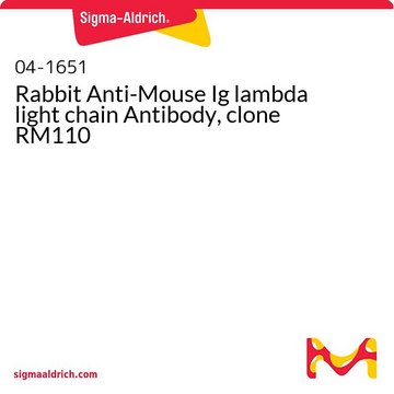 Rabbit Anti-Mouse Ig lambda light chain Antibody, clone RM110