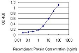 Monoclonal Anti-STX8 antibody produced in mouse clone 2H1-1D11, purified immunoglobulin, buffered aqueous solution