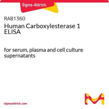 Human Carboxylesterase&nbsp;1 ELISA for serum, plasma and cell culture supernatants