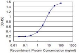 Monoclonal Anti-SCEL antibody produced in mouse clone 4B12, purified immunoglobulin, buffered aqueous solution