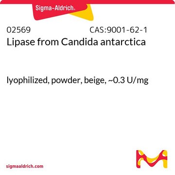 Lipase from Candida antarctica lyophilized, powder, beige, ~0.3&#160;U/mg