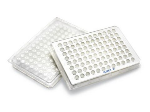 MultiScreen-DV滤板，0.65 &#181;m，透明，非无菌 Receptor binding assays on whole cells and cell fragments, protein kinase/phosphatase assays, bead/resin based assays, sample prep