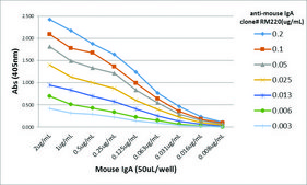 Anti-Mouse IgA antibody, Rabbit monoclonal recombinant, expressed in HEK 293 cells, clone RM220, purified immunoglobulin