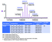 SILu™Lite SigmaMAb Trastuzumab Monoclonal Antibody recombinant, expressed in CHO cells