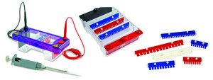 Sigma-Aldrich® MSMINIDUO horizontal gel electrophoresis system capable of resolving up to 48 different samples