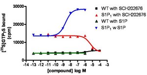 ChemiSCREEN Membrane Preparation Recombinant Human S1P1 Lysophospholipid Receptor Human S1P1 / EDG1 GPCR membrane preparation for Radioligand binding Assays &amp; GTPγS binding.