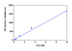 Fluorimetric Hydrogen Peroxide Assay Kit sufficient for 500 fluorometric&nbsp;tests (infrared fluorescence)