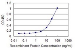 Monoclonal Anti-EDC4, (C-terminal) antibody produced in mouse clone 2E2, purified immunoglobulin, buffered aqueous solution
