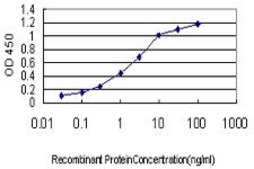 Monoclonal Anti-GTF2A1 antibody produced in mouse clone 2H5, purified immunoglobulin, buffered aqueous solution