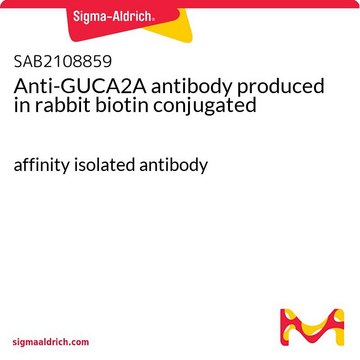 Anti-GUCA2A antibody produced in rabbit biotin conjugated affinity isolated antibody