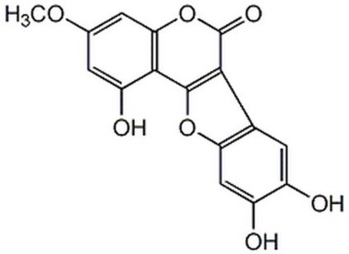 IKK Inhibitor II, Wedelolactone The IKK Inhibitor II, Wedelolactone, also referenced under CAS 65646-68-6, controls the biological activity of IKK. This small molecule/inhibitor is primarily used for Inflammation/Immunology applications.