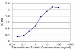 Monoclonal Anti-RBM6, (C-terminal) antibody produced in mouse clone 3E9, purified immunoglobulin, buffered aqueous solution