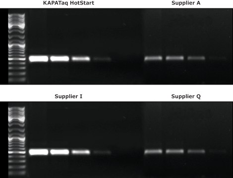 KAPA Taq PCR Kit Buffers with dye