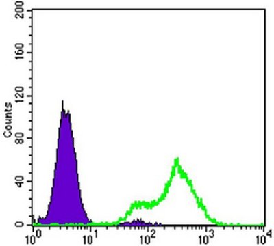 Anti-Metadherin Antibody, clone 2F11C3 clone 2F11C3, from mouse, purified by affinity chromatography