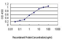 ANTI-GUCY2D antibody produced in mouse clone 6E9, purified immunoglobulin, buffered aqueous solution