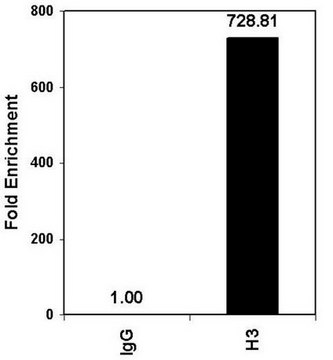 ChIPAb+ Acetyl-Histone H3 - ChIP Validated Antibody and Primer Set from rabbit