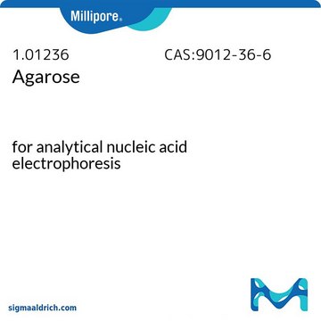 Agarose for analytical nucleic acid electrophoresis