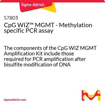 CpG WIZ&#8482; MGMT - Methylation specific PCR assay The components of the CpG WIZ MGMT Amplification Kit include those required for PCR amplification after bisulfite modification of DNA samples. Sufficient reagents are provided to analyze 25 samples.