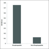 Anti-phospho-Tau (pThr534) antibody produced in rabbit affinity isolated antibody