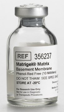 Corning&#174; Matrigel&#174; 基底膜基质 Phenol Red-Free, LDEV-Free, pack of 10&#160;mL