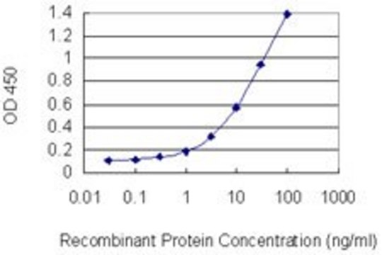 Monoclonal Anti-EGLN3 antibody produced in mouse clone 3C5, purified immunoglobulin, buffered aqueous solution