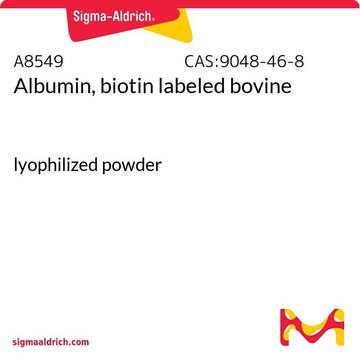 白蛋白，生物素标记 牛 lyophilized powder